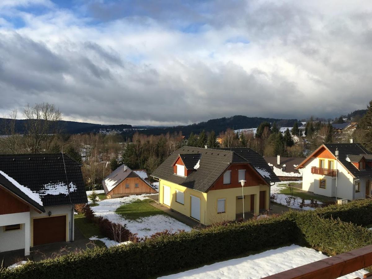 Villapark Lipno Dreams - Pet Friendly 伏尔塔瓦河畔利普诺 外观 照片