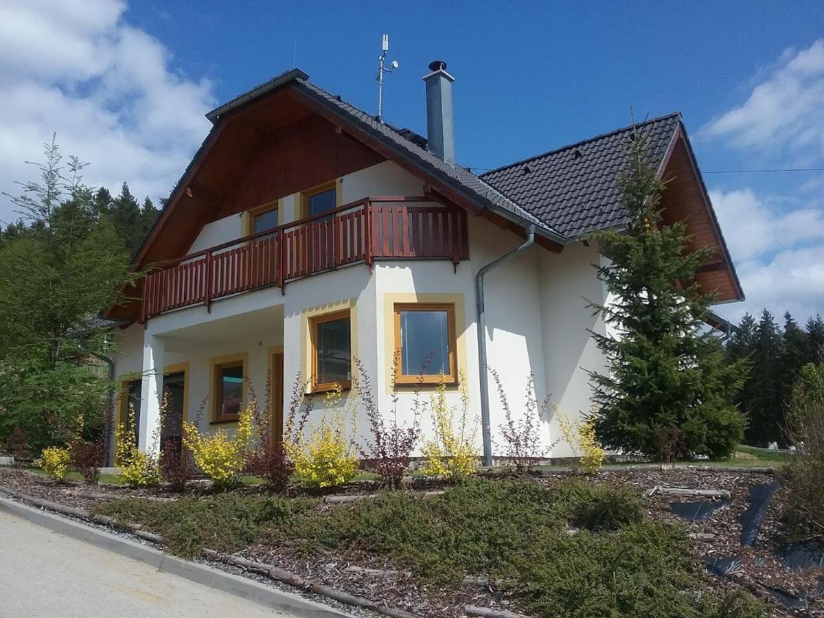 Villapark Lipno Dreams - Pet Friendly 伏尔塔瓦河畔利普诺 外观 照片