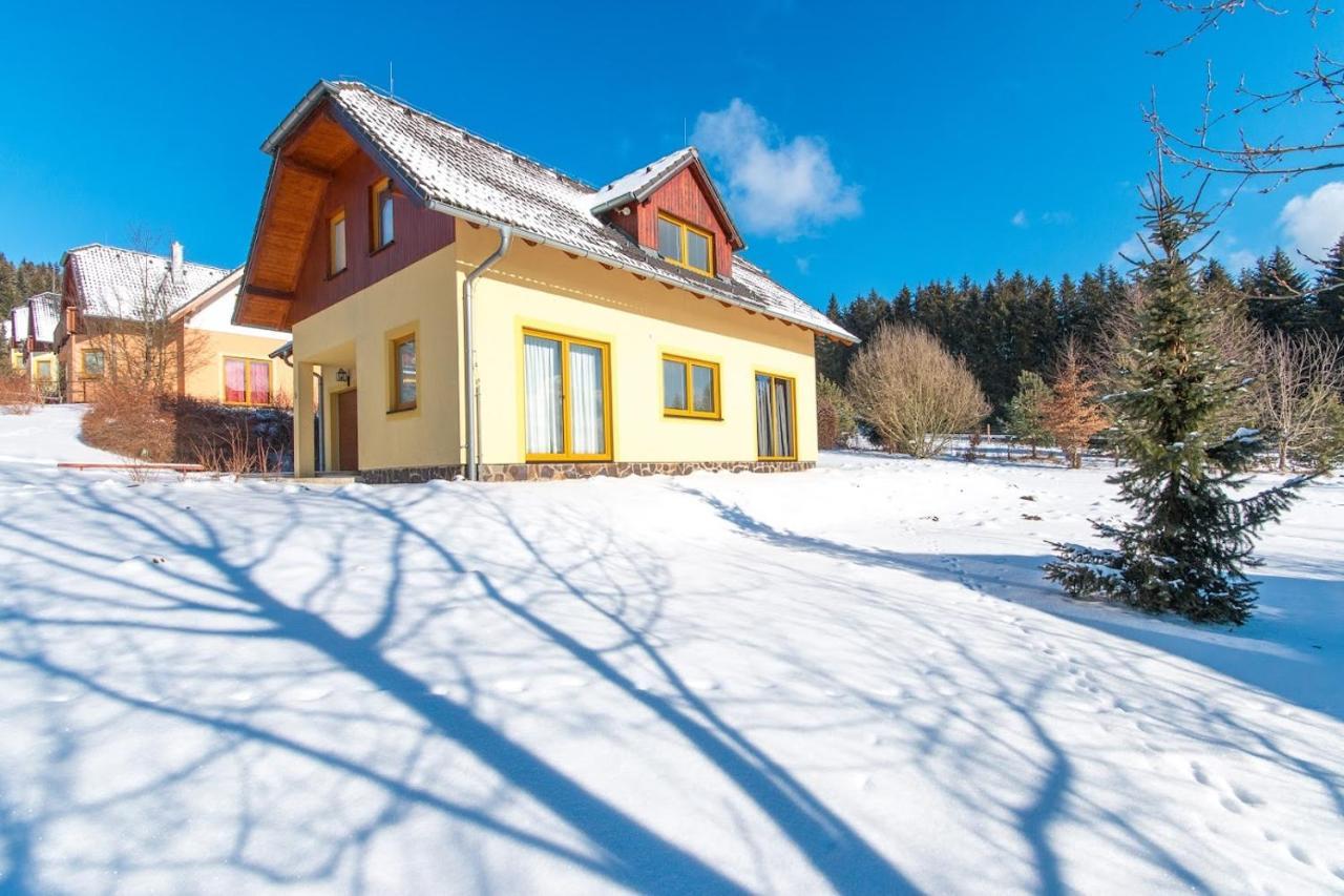 Villapark Lipno Dreams - Pet Friendly 伏尔塔瓦河畔利普诺 外观 照片